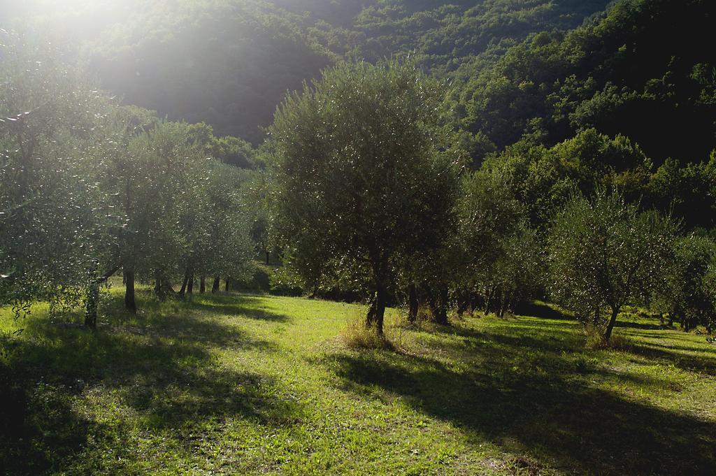 Country Room Il Moro Rignano sullʼArno Zewnętrze zdjęcie