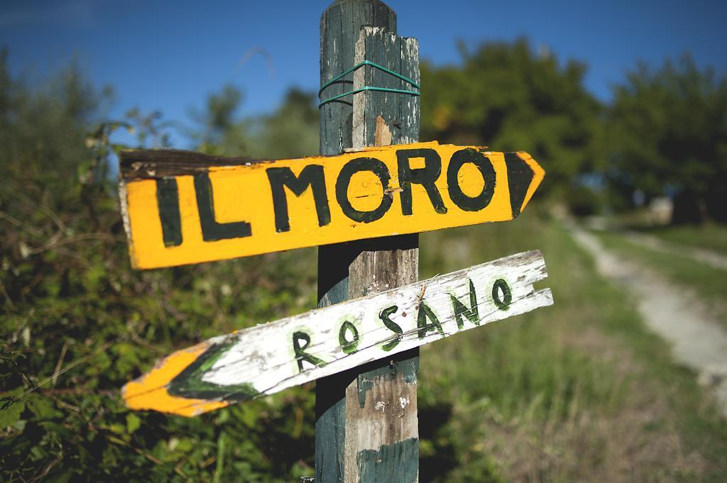 Country Room Il Moro Rignano sullʼArno Zewnętrze zdjęcie