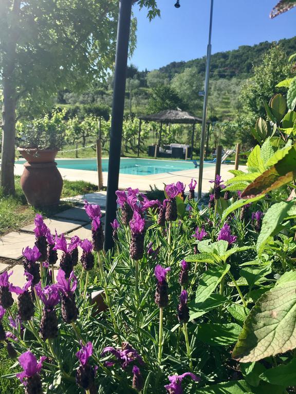Country Room Il Moro Rignano sullʼArno Zewnętrze zdjęcie